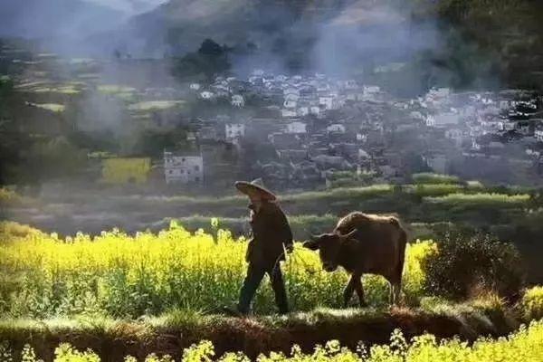 武汉三清山自驾游攻略_武汉到三清山旅游攻略_武汉到三清山旅游团报价