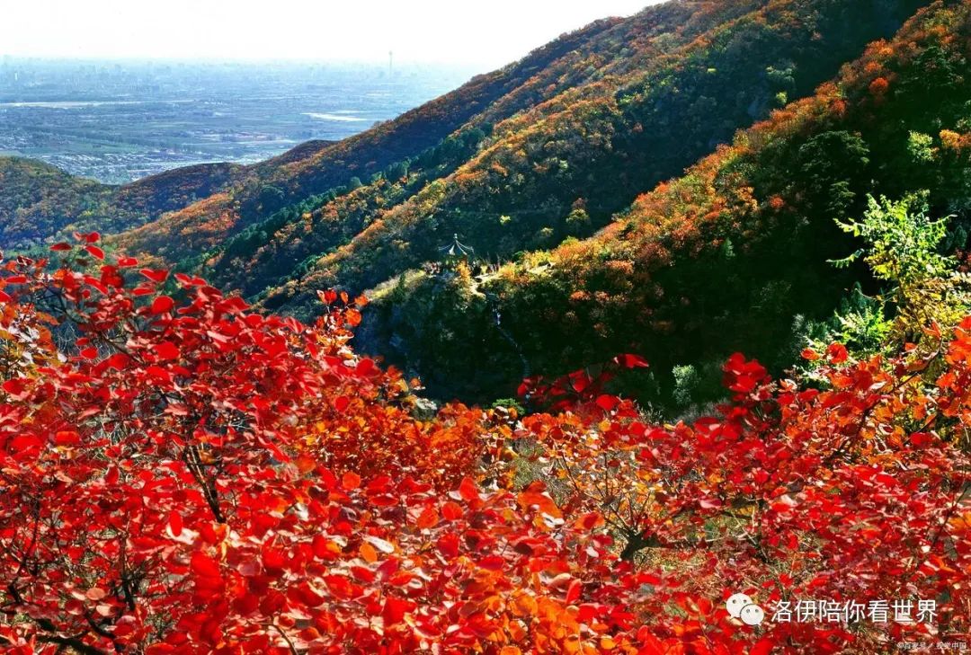 攻略香山公园旅游路线_香山公园旅游攻略_攻略香山公园旅游路线图