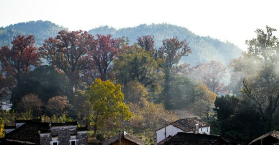 武汉自驾到三清山_武汉到三清山旅游攻略_武汉自驾三清山多少公里