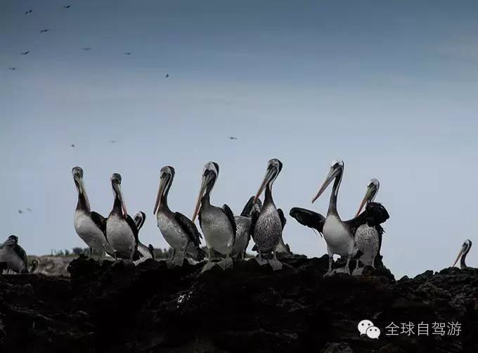 厄瓜多尔旅游攻略_厄瓜多尔的景点_厄瓜多尔旅游必去景点