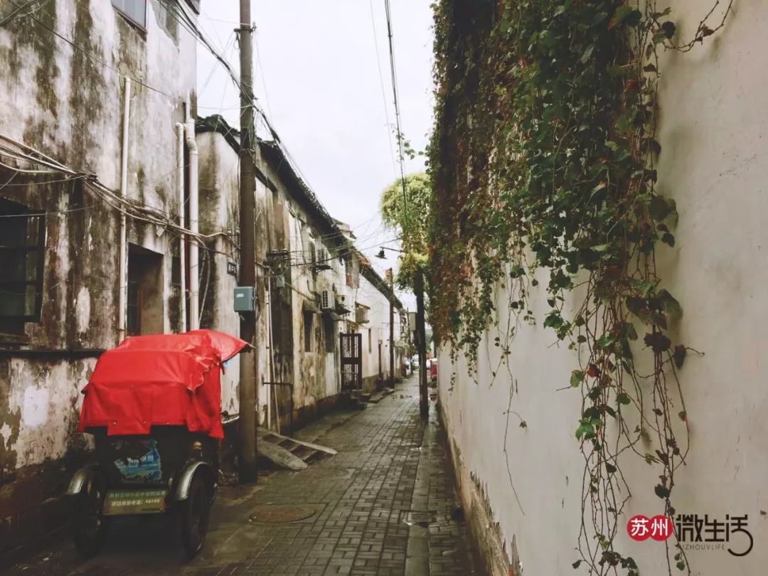 苏州吴中旅游必去十大景点_苏州吴中区旅游攻略_苏州吴中区一日游