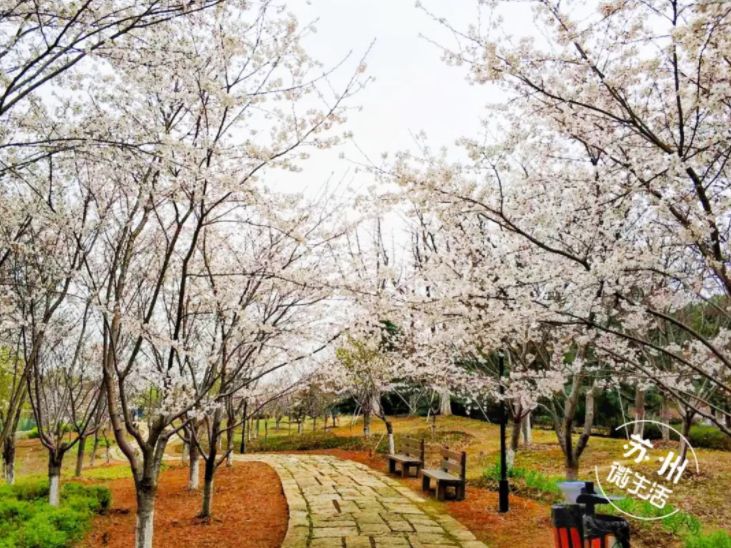 苏州吴中旅游必去十大景点_苏州吴中区一日游_苏州吴中区旅游攻略