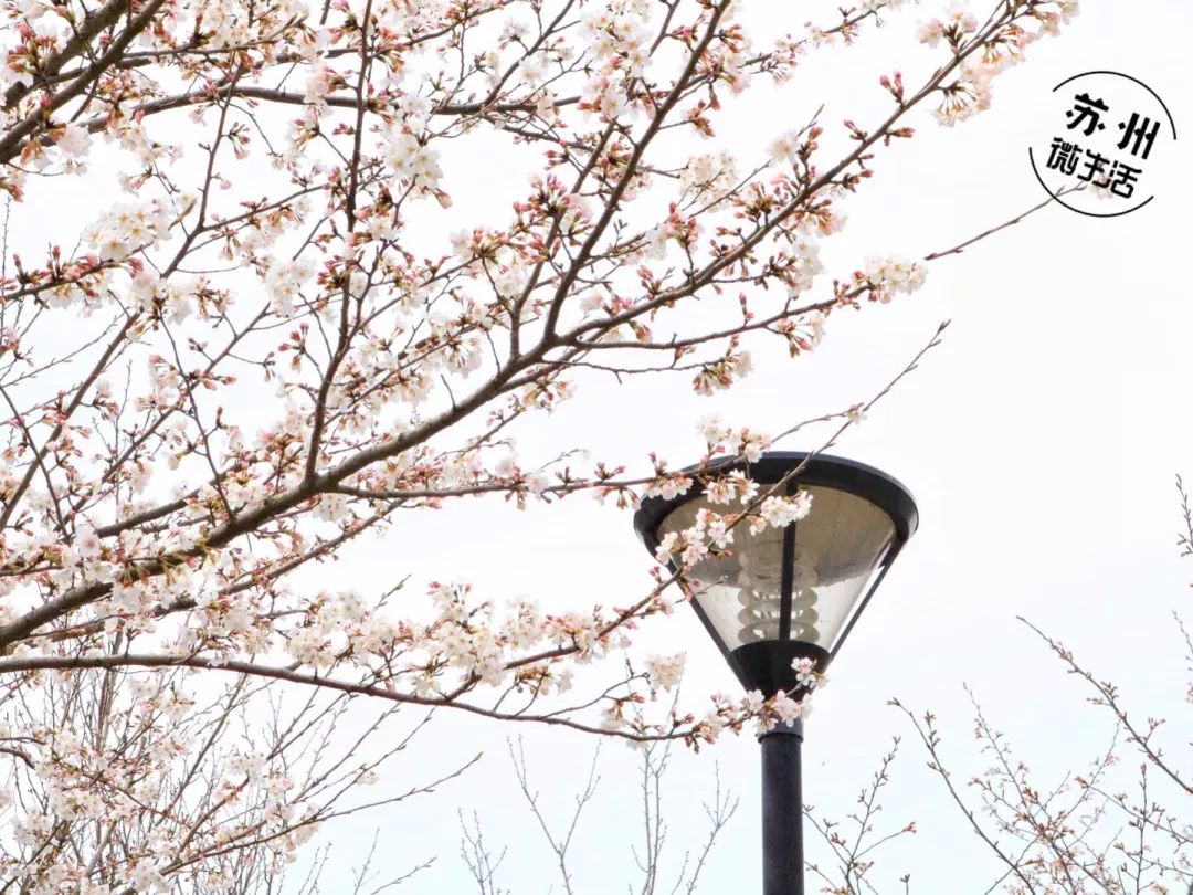 苏州吴中区一日游_苏州吴中旅游必去十大景点_苏州吴中区旅游攻略