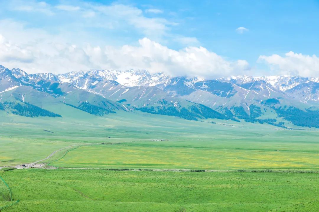 伊犁了旅游攻略_伊犁草原旅游攻略_伊犁草原旅游最佳时间