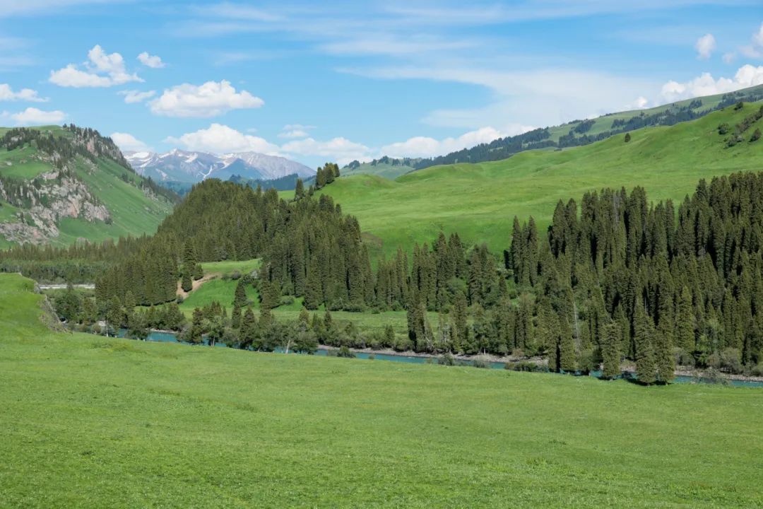 伊犁草原旅游攻略_伊犁草原旅游最佳时间_伊犁了旅游攻略