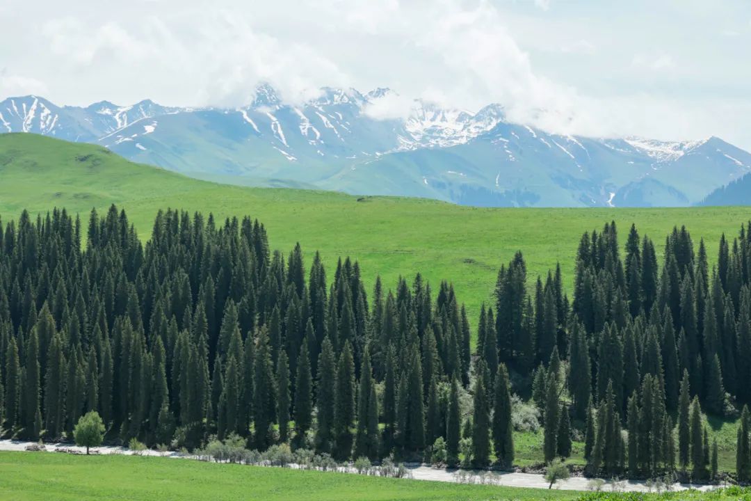 伊犁草原旅游最佳时间_伊犁草原旅游攻略_伊犁了旅游攻略