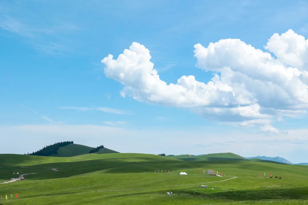 伊犁草原旅游攻略_伊犁草原旅游最佳时间_伊犁了旅游攻略