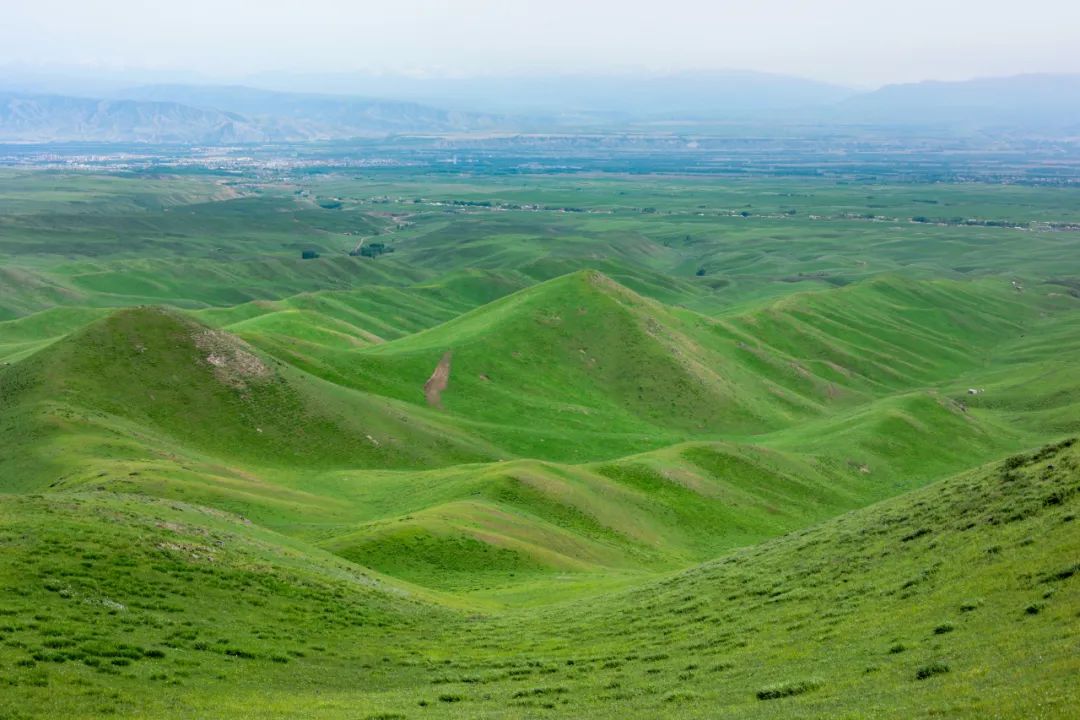 伊犁草原旅游攻略_伊犁草原旅游最佳时间_伊犁了旅游攻略