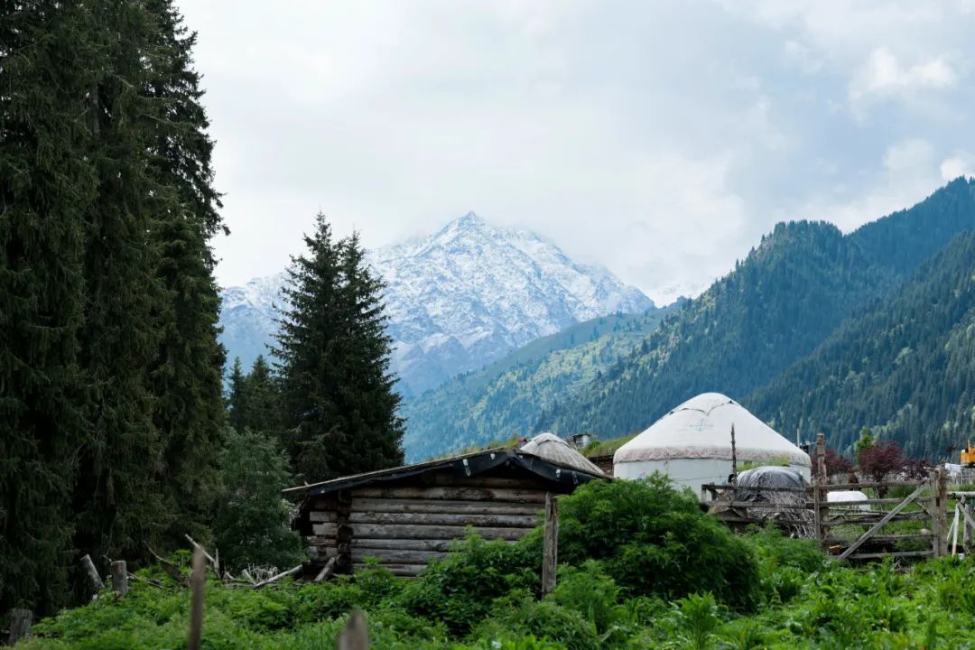 伊犁了旅游攻略_伊犁草原旅游最佳时间_伊犁草原旅游攻略