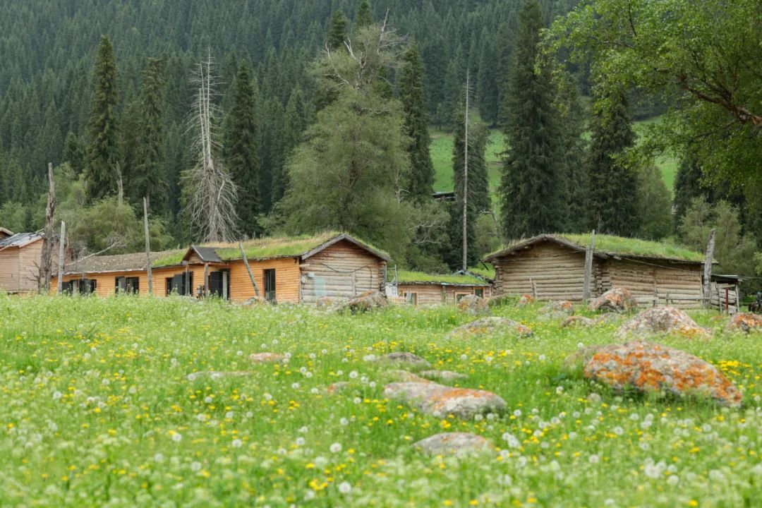 伊犁草原旅游最佳时间_伊犁草原旅游攻略_伊犁了旅游攻略