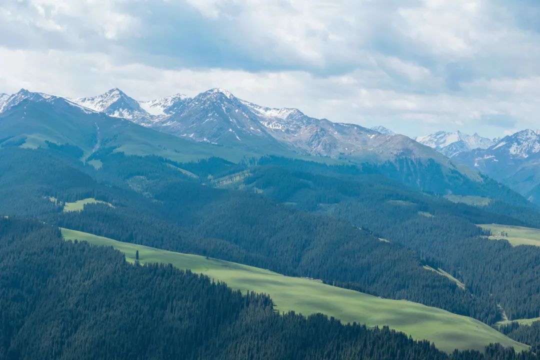 伊犁了旅游攻略_伊犁草原旅游攻略_伊犁草原旅游最佳时间