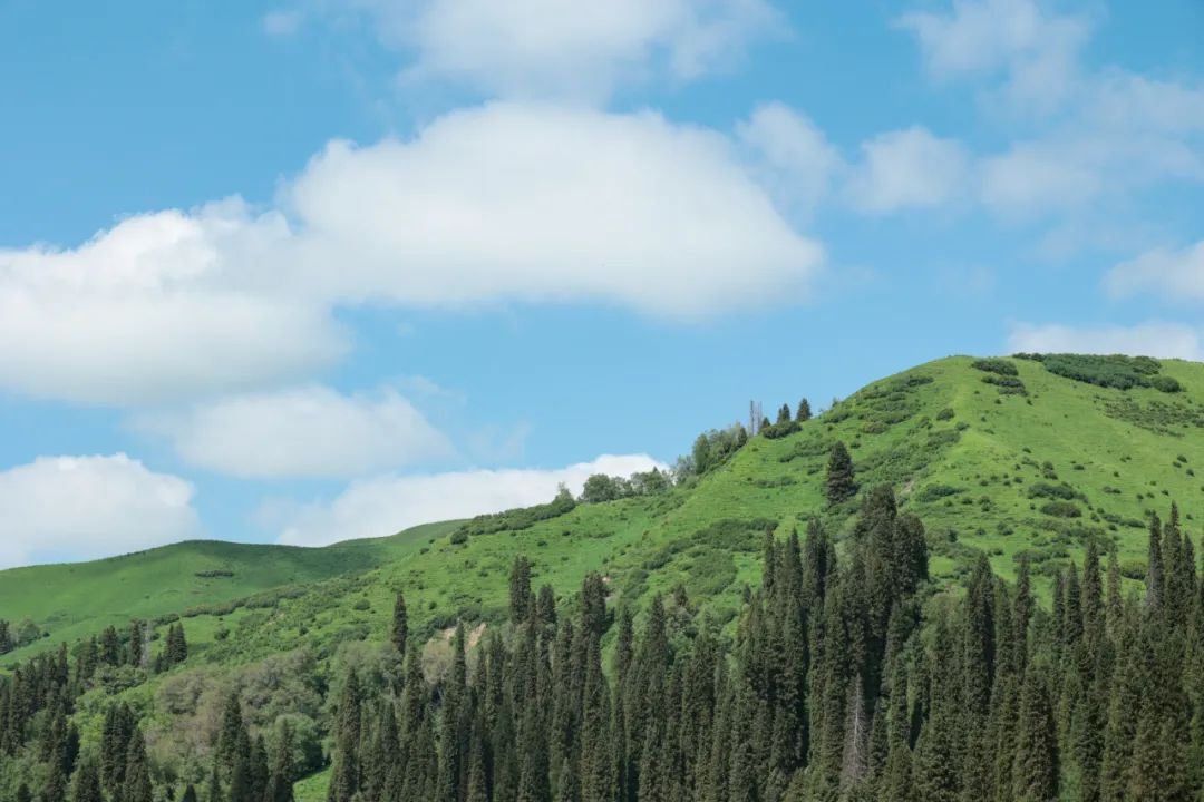 伊犁草原旅游攻略_伊犁了旅游攻略_伊犁草原旅游最佳时间