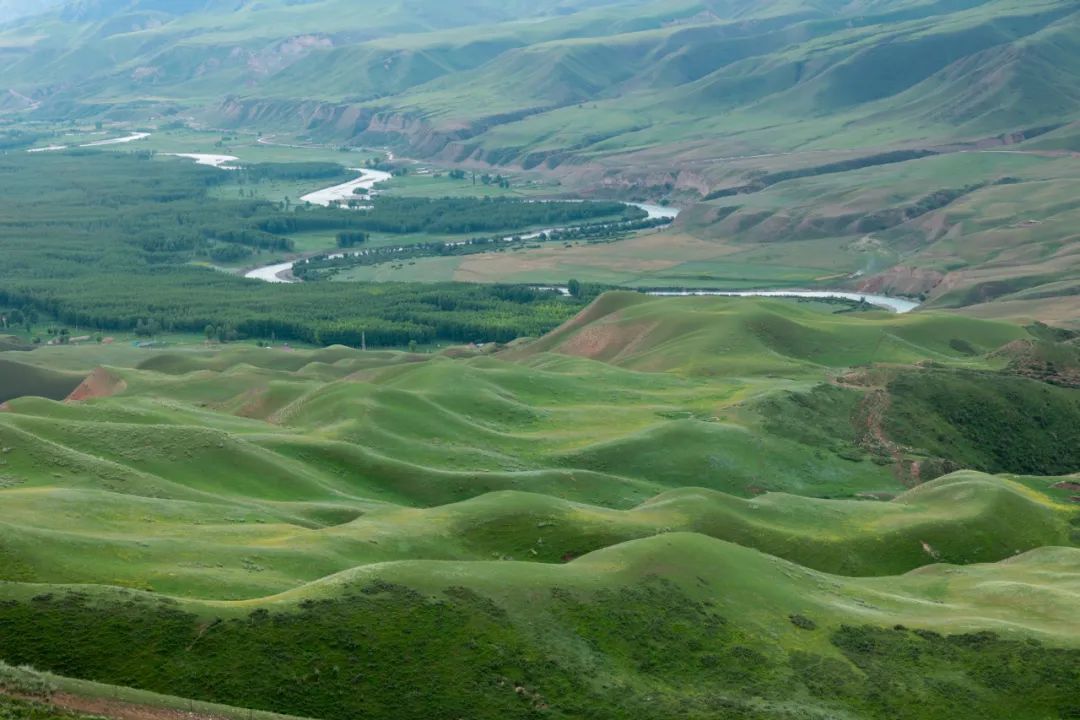 伊犁草原旅游攻略_伊犁了旅游攻略_伊犁草原旅游最佳时间