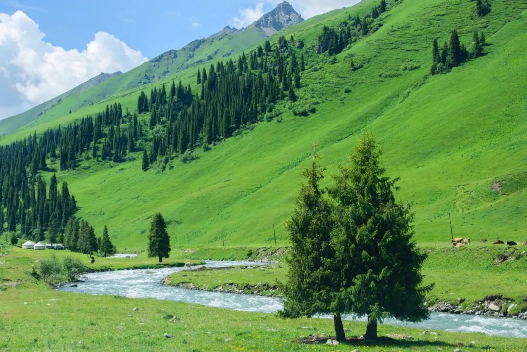 伊犁草原旅游攻略_伊犁草原旅游最佳时间_伊犁草原门票