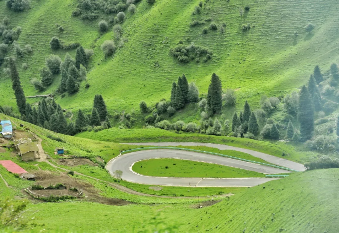 伊犁草原门票_伊犁草原旅游最佳时间_伊犁草原旅游攻略