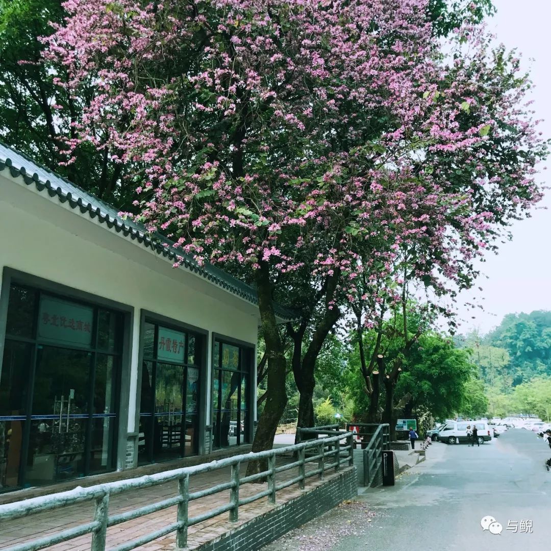 广东丹霞景区_广东丹霞山旅游攻略一日游_广东丹霞山旅游攻略