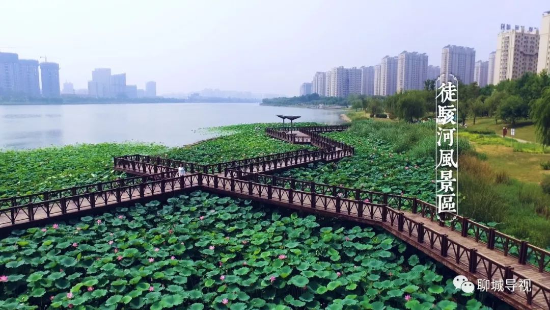 聊城旅游攻略_聊城攻略旅游景点大全_聊城攻略旅游景点