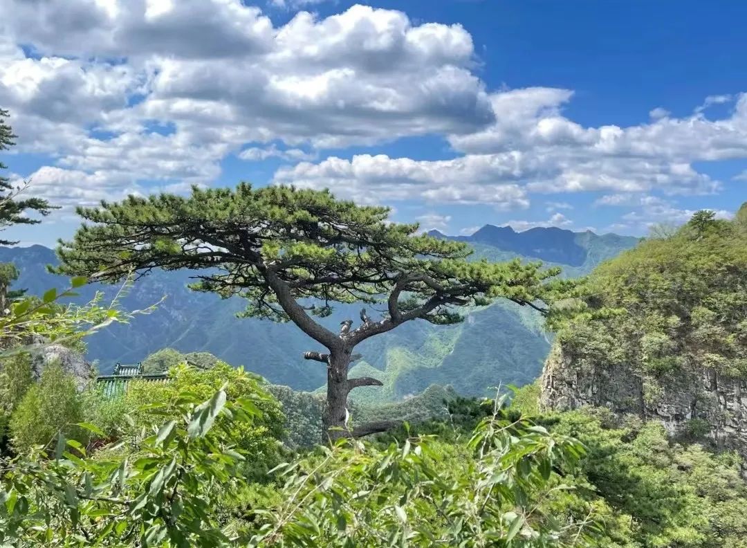凤凰岭在北京哪里_北京凤凰岭景区_北京凤凰岭旅游攻略