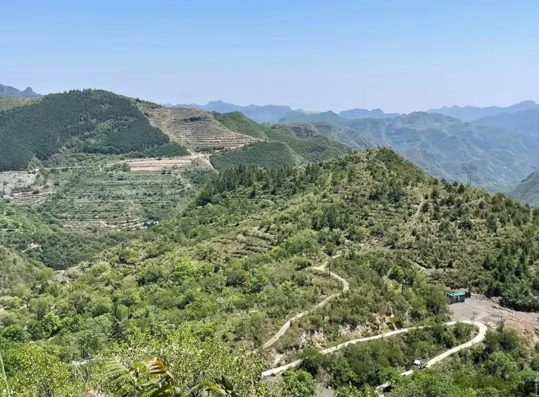 北京凤凰岭景区_北京凤凰岭旅游攻略_凤凰岭在北京哪里