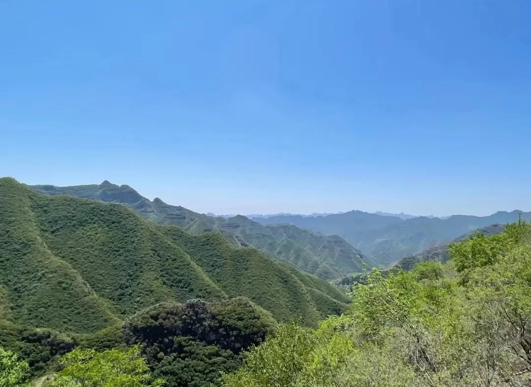 凤凰岭在北京哪里_北京凤凰岭旅游攻略_北京凤凰岭景区