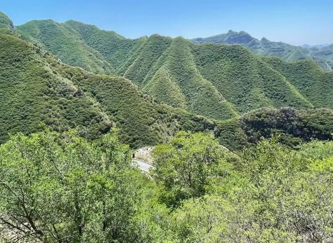北京凤凰岭旅游攻略_凤凰岭在北京哪里_北京凤凰岭景区
