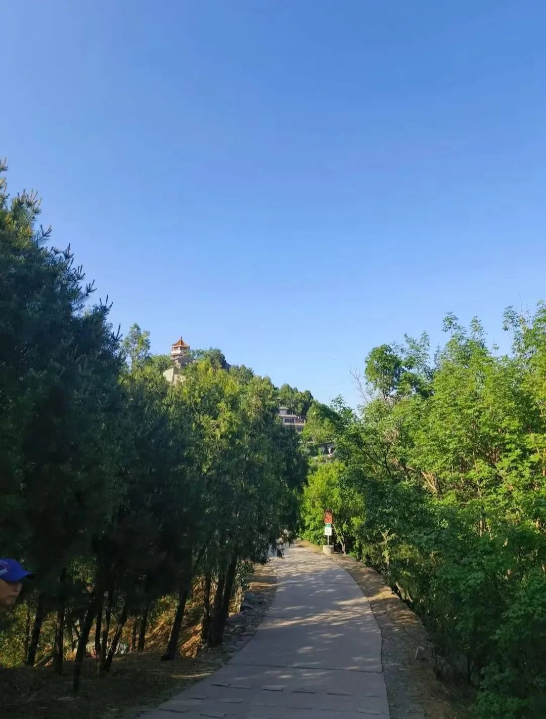 凤凰岭在北京哪里_北京凤凰岭旅游攻略_北京凤凰岭景区