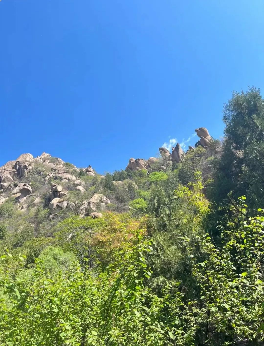 北京凤凰岭旅游攻略_凤凰岭在北京哪里_北京凤凰岭景区