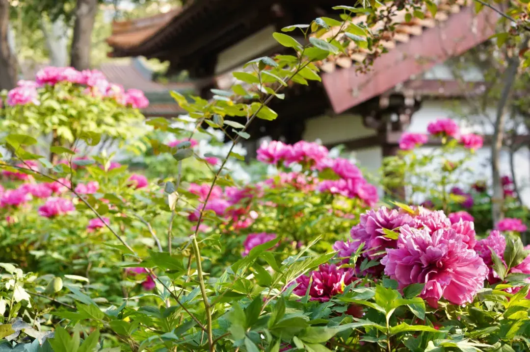 南宁攻略横店旅游去哪里玩_南宁有横店吗_南宁去横店旅游攻略