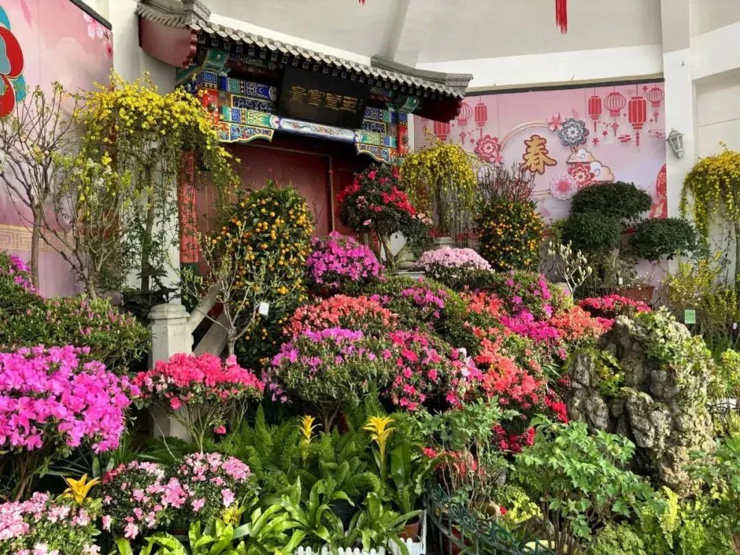 北京凤凰岭旅游攻略_北京凤凰岭山庄_北京凤凰岭景区好玩吗