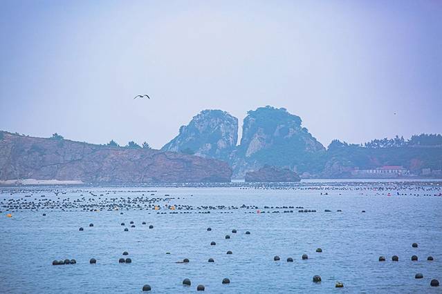 棒槌岛旅游攻略_棒槌岛可以搭帐篷吗_棒槌岛值得去吗