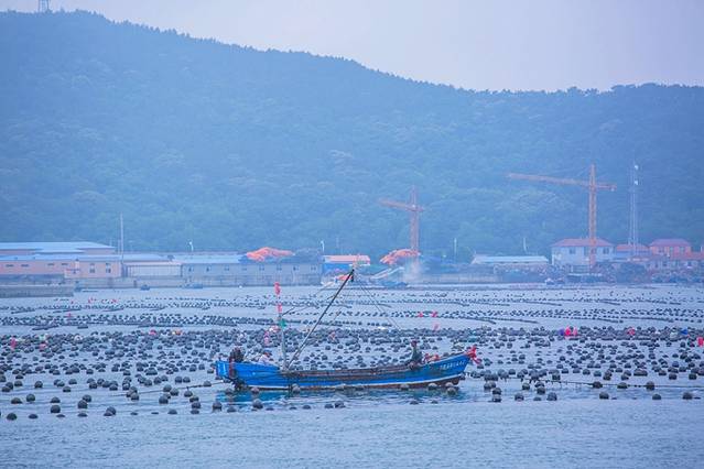 棒槌岛旅游攻略_棒槌岛值得去吗_棒槌岛可以搭帐篷吗