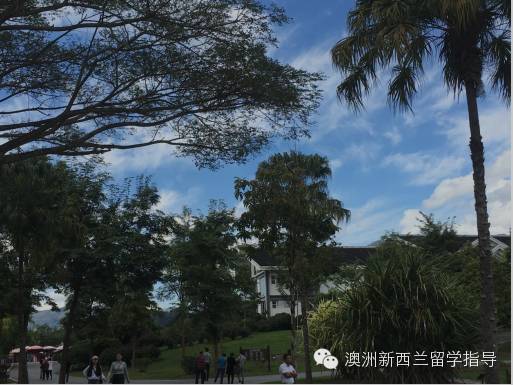 双廊旅游攻略_双廊攻略景点_双廊打卡景点