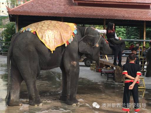 双廊攻略景点_双廊旅游攻略_双廊打卡景点