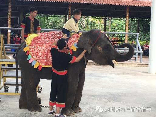 双廊旅游攻略_双廊打卡景点_双廊攻略景点