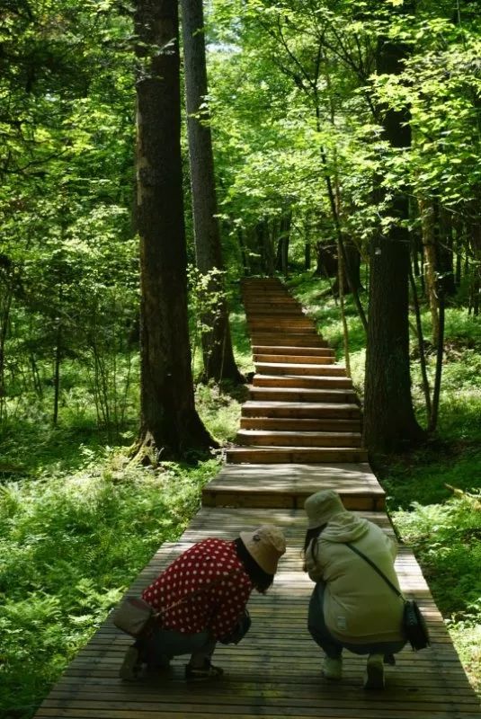 夏天伊春旅游攻略_伊春3天旅游攻略_夏天伊春旅游必去的景点