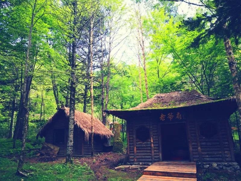夏天伊春旅游必去的景点_伊春3天旅游攻略_夏天伊春旅游攻略