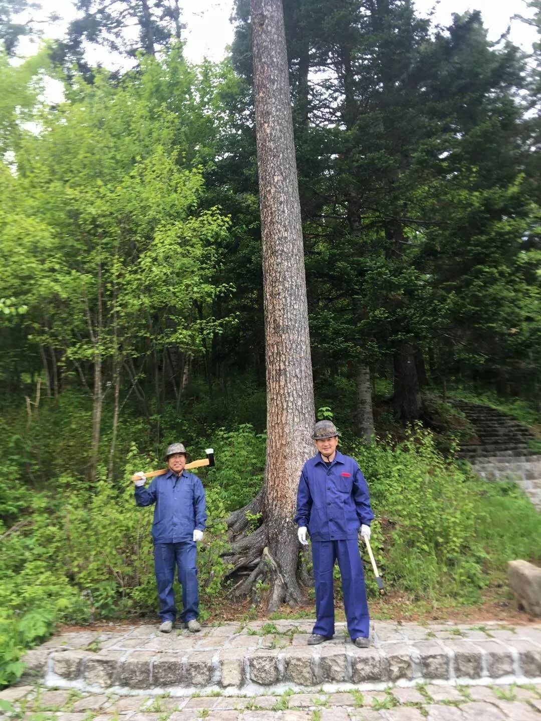 伊春3天旅游攻略_夏天伊春旅游必去的景点_夏天伊春旅游攻略