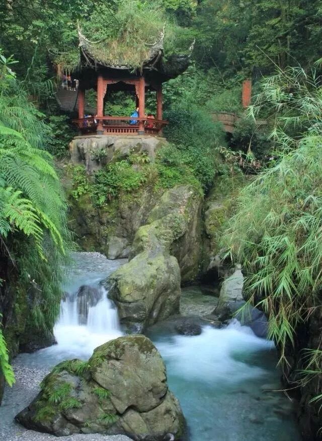 峨眉山猴在哪_峨眉山生态猴区路线_峨眉山自然猴区旅游攻略