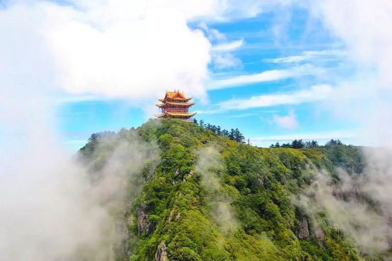 峨眉山猴在哪_峨眉山自然猴区旅游攻略_峨眉山生态猴区路线