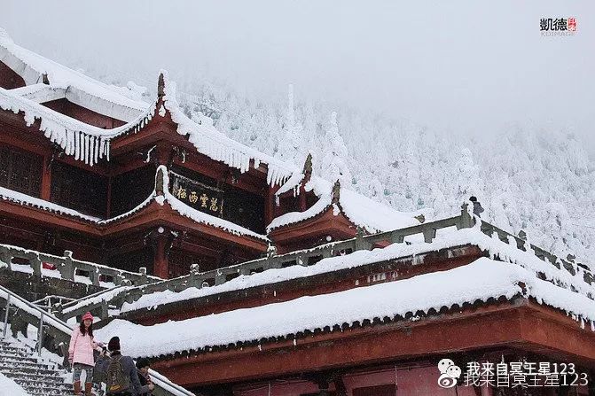 峨眉山猴在哪_峨眉山自然猴区旅游攻略_峨眉山自然生态猴区介绍