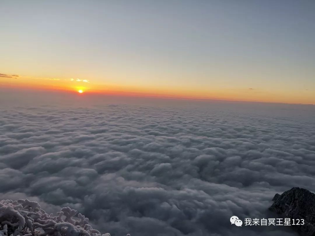 峨眉山自然生态猴区介绍_峨眉山猴在哪_峨眉山自然猴区旅游攻略