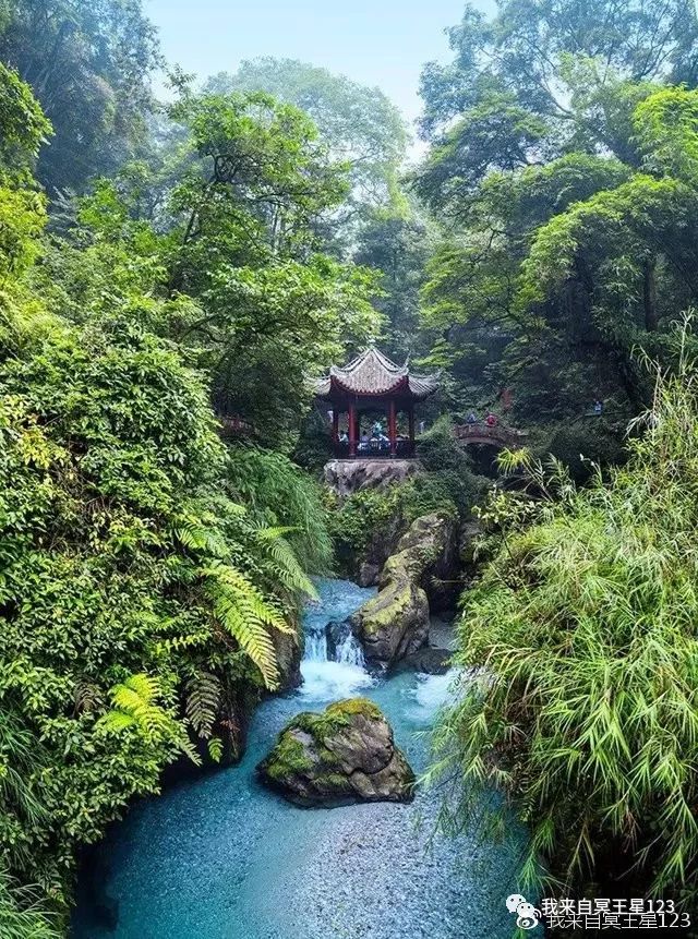 峨眉山自然猴区旅游攻略_峨眉山猴在哪_峨眉山自然生态猴区介绍