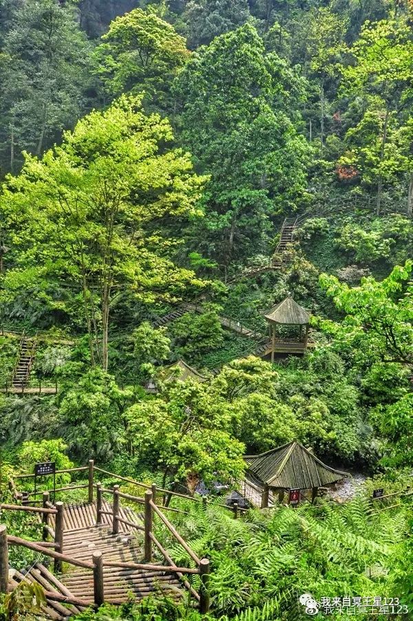 峨眉山自然猴区旅游攻略_峨眉山猴在哪_峨眉山自然生态猴区介绍