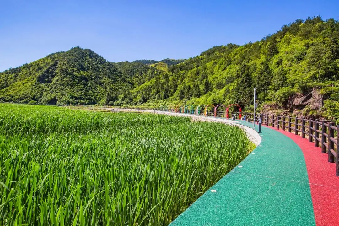 浙江丽水缙云风景区_丽水缙云旅游攻略_丽水缙云好玩吗