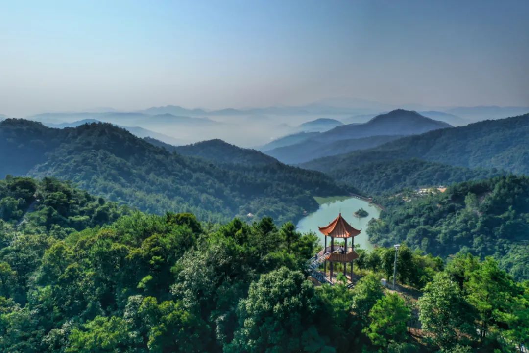 从化溪头旅游村有什么好玩的_广州从化溪头旅游村_从化溪头村旅游攻略相关推荐