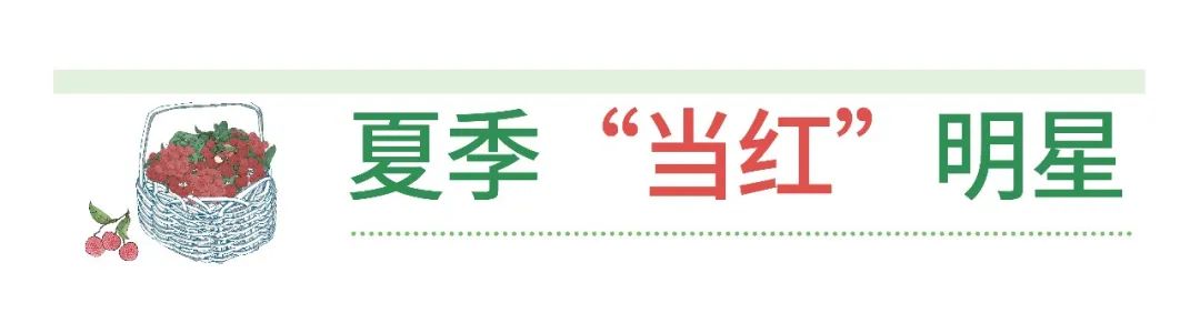 从化溪头村旅游攻略相关推荐_从化溪头旅游村有什么好玩的_广州从化溪头旅游村