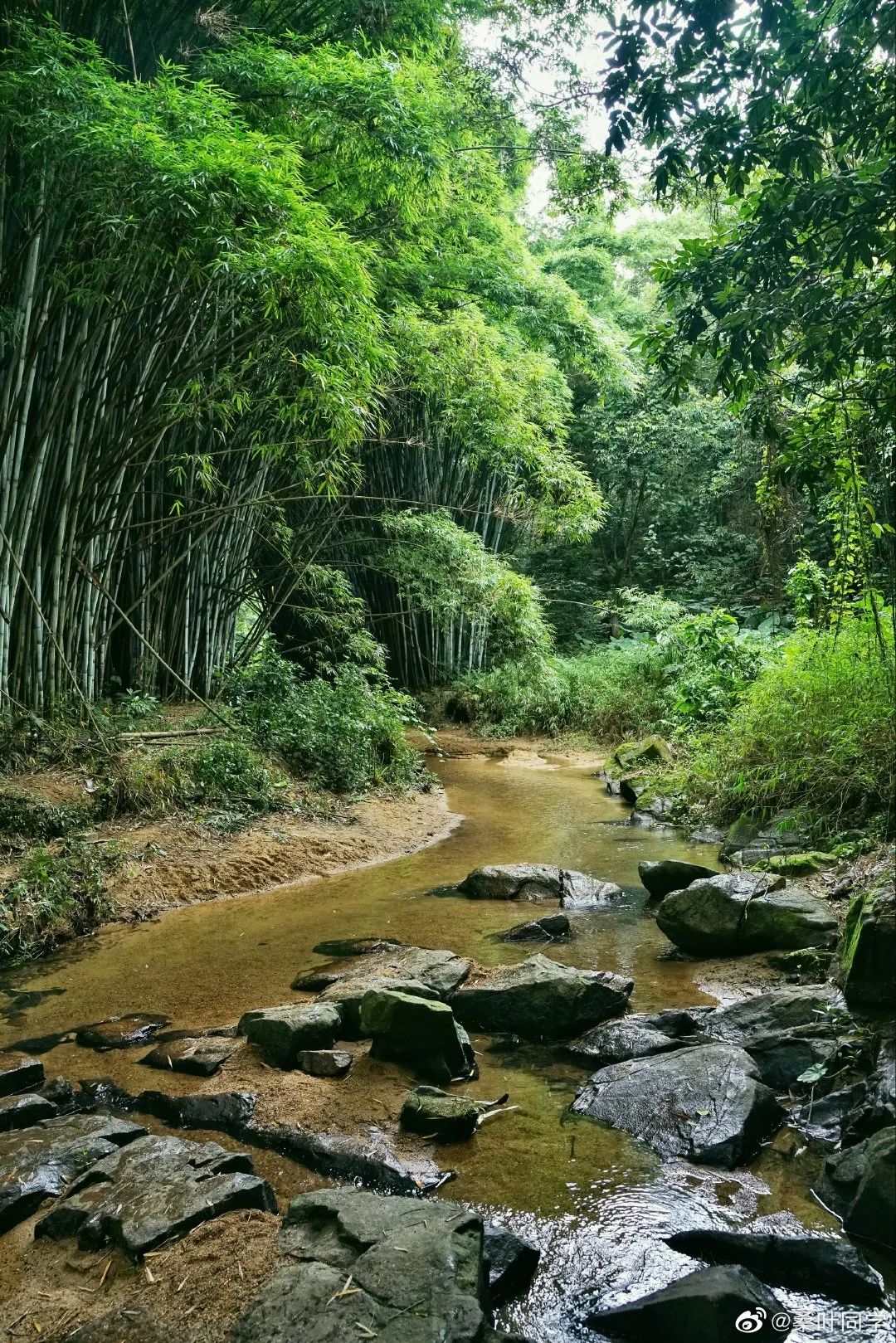 从化溪头旅游村有什么好玩的_从化溪头村旅游攻略相关推荐_广州从化溪头旅游村