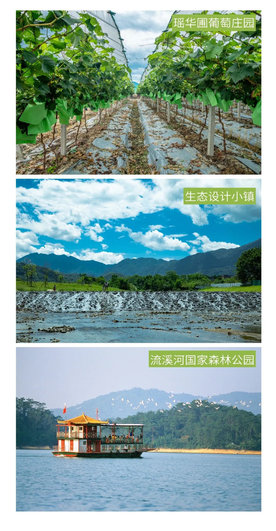 从化溪头旅游村有什么好玩的_从化溪头村旅游攻略相关推荐_广州从化溪头旅游村