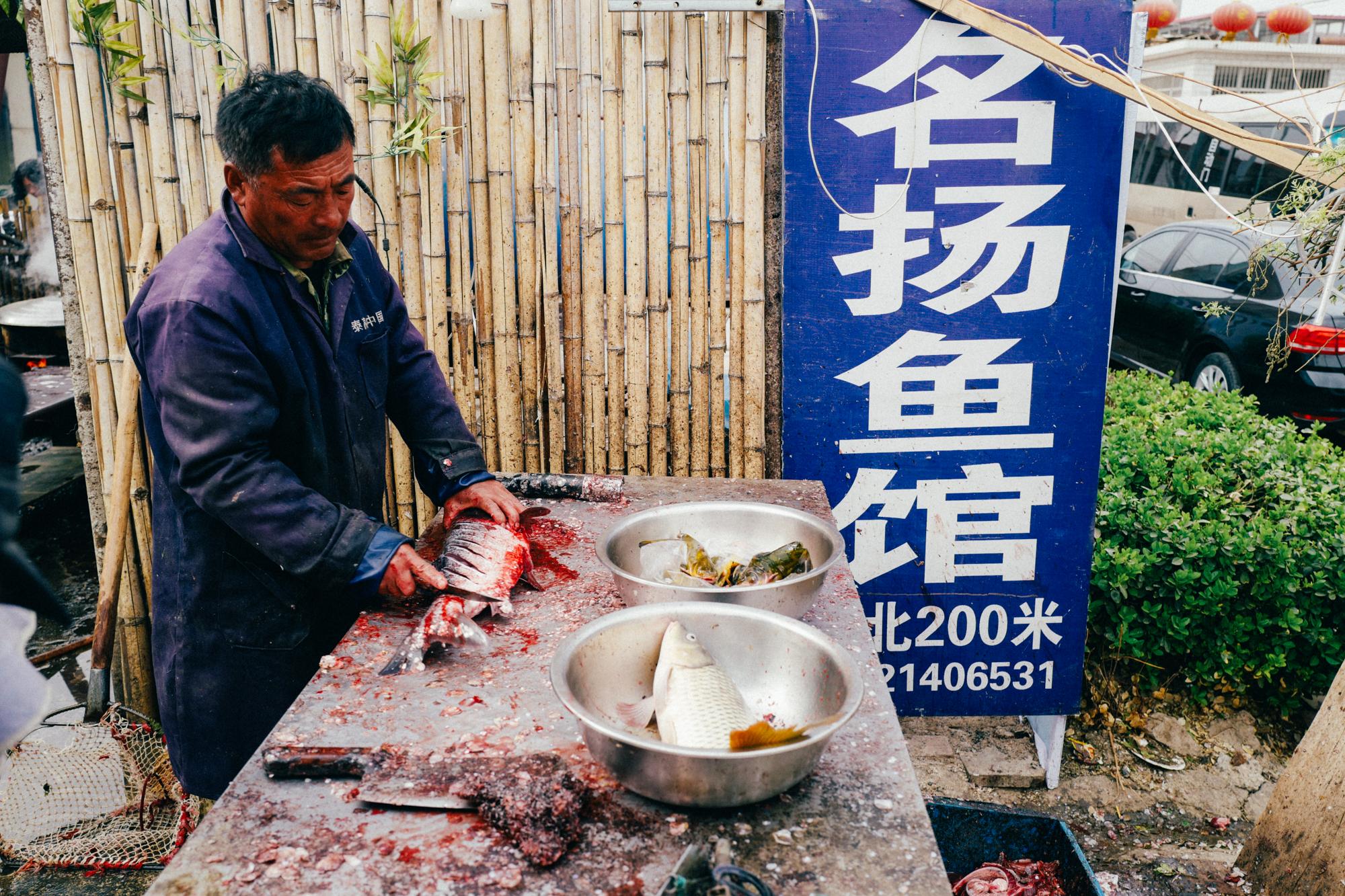 水库景区_水库大桥_于桥水库旅游攻略