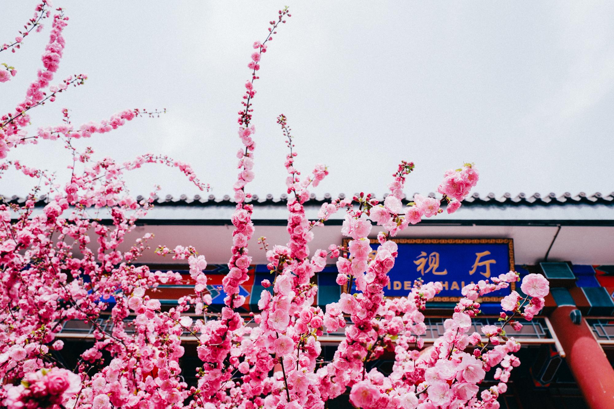 水库大桥_水库景区_于桥水库旅游攻略